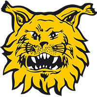 Ilves