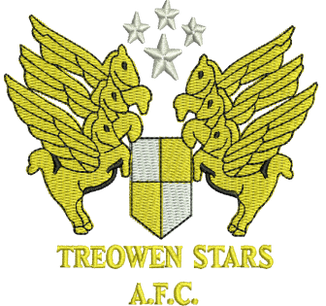 Treowen Stars