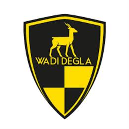 Wadi Degla FC