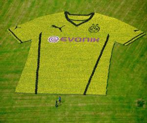 Dortmund dùng cả nghìn bông hoa để giới thiệu áo đấu mới