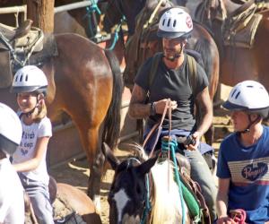 Nhà Becks cưỡi ngựa giải khuây