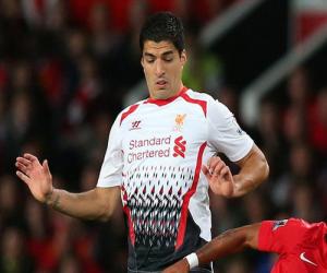 Liverpool rục rịch lên kế hoạch gia hạn hợp đồng với Luis Suarez