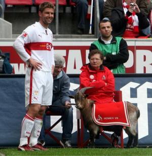 Sốc: Cầu thủ đầu tiên ở Premier League thú nhận là gay