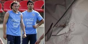 Anh chơi đòn bẩn, dùng côn trùng độc phá hoại Uruguay