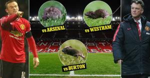 M.U quyết tiêu diệt giặc chuột tại thánh đường Old Trafford