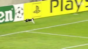 Những sự cố trong bóng đá do động vật gây ra