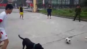 Màn đá ma bá đạo nhất Việt Nam