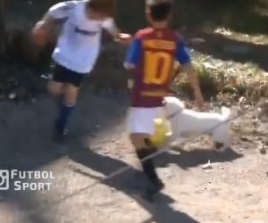 Chú chó xâu kim qua hàng loạt cầu thủ nhí