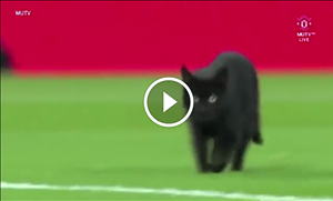 Nguyên nhân làm trận đấu Liverpool 0-0 MU bị nhàm chán