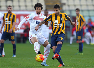 Nhận định Cittadella vs Hellas Verona 02h30 ngày 19/11 (Hạng 2 Italia 2016/17)