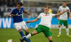 Nhận định Schalke vs Werder Bremen 23h30 ngày 6/11 (Bundesliga 2016/17)