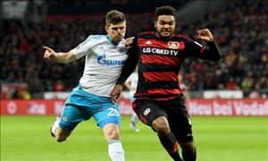 Nhận định Schalke vs Leverkusen 23h30 ngày 11/12 (Bundesliga 2016/17)