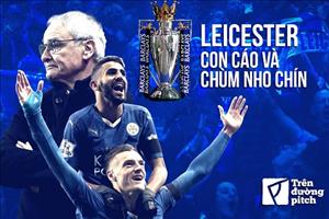 Leicester vô địch Premier League: Chuyện con cáo và chùm nho chín