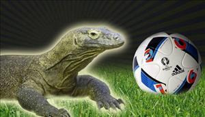 Lộ diện nhà tiên tri số 1 VCK Euro 2016