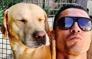 Sướng như... chó nhà các ngôi sao bóng đá