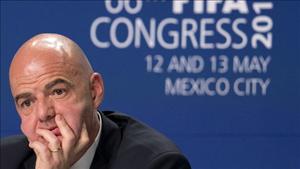 Học Euro 2016, FIFA cân nhắc nâng số đội dự World Cup lên 40