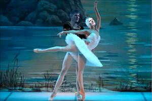 Schweinsteiger có niềm đam mê cháy bỏng với ballet và opera