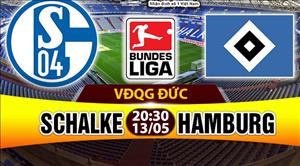 Nhận định Schalke vs Hamburg 20h30 ngày 13/5 (Bundesliga 2016/17)