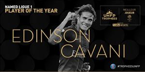 Cavani và Mbappe được vinh danh ở Ligue 1