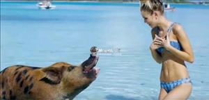 Nhà tài trợ đội bóng Premier League toàn đăng clip mát mẻ