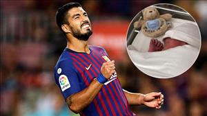 Tiền đạo Suarez đón tin mừng trước trận Barca vs Inter