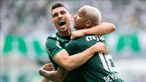 Nhận định Palmeiras vs America Mineiro 6h45 ngày 22/11 (VĐQG Brazil)