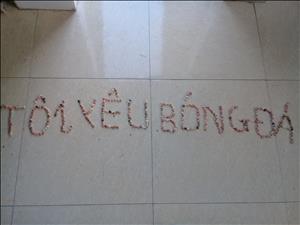 Bài dự thi Ấn tượng World Cup: Tôi đi xem bóng đá