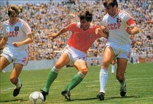 Bài dự thi Ấn tượng World Cup: Cơn mưa gạch, đá” trên mái nhà cấp bốn!