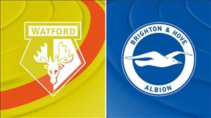 Nhận định Watford vs Brighton 21h00 ngày 10/8 (Premier League 2019/20)