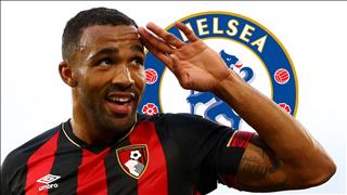 Callum Wilson nên tới Chelsea thay vì Tottenham