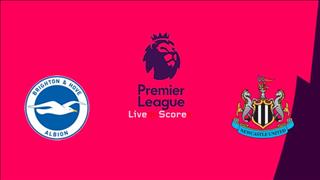 Nhận định Brighton vs Newcastle 23h30 ngày 27/4 (Premier League 2018/19)