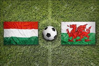 Nhận định Hungary vs Wales 1h45 ngày 12/6 (Vòng loại EURO 2020)