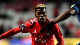 Man City duyệt chi 60 triệu euro cho sao Benfica