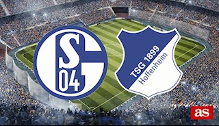 Nhận định bóng đá Schalke vs Hoffenheim 21h30 ngày 7/3 (Bundesliga 2019/20)