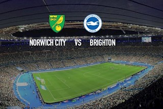 Nhận định bóng đá Norwich vs Brighton 18h30 ngày 4/7 (Premier League 2019/20)