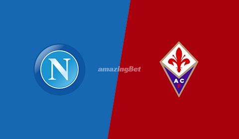 Nhận định bóng đá Napoli vs Fiorentina 18h30 ngày 17/1 (Serie A 2020/21)