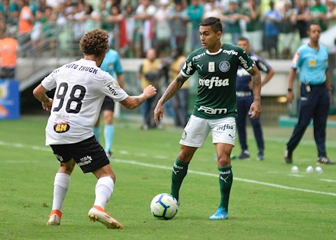 Nhận định bóng đá Palmeiras vs Sport Recife 7h30 ngày 26/10 (VĐQG Brazil 2021/22)