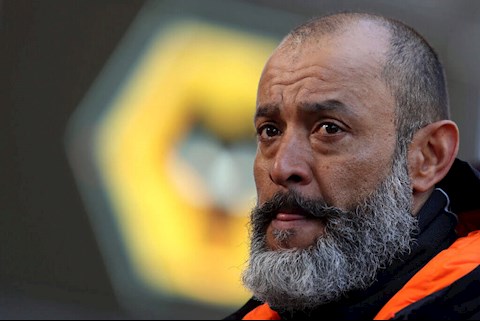 Sự thay đổi vội vàng đã giết chết Bầy Sói