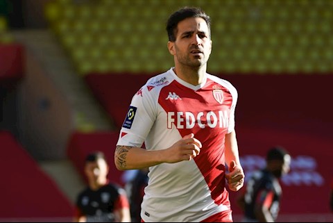 Cesc Fabregas: Forrest Gump của bóng đá