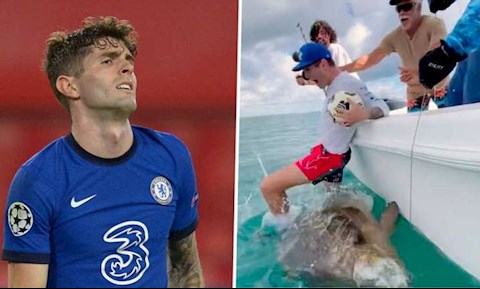 Dẫm đạp lên cá có nguy cơ tuyệt chủng, sao Chelsea bị chê hạ đẳng