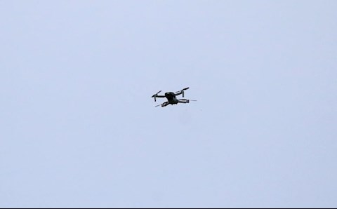 Trận Brentford vs Wolves bị hoãn vì lý do khó tin