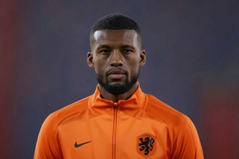 Arsenal là bến đỗ hoàn hảo cho Georginio Wijnaldum