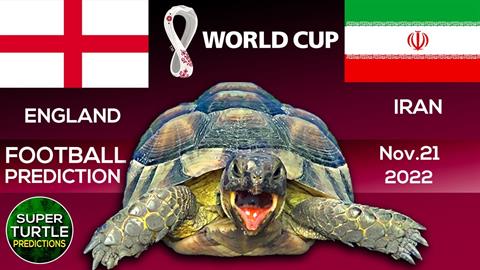 Rùa tiên tri dự đoán kết quả trận Anh vs Iran