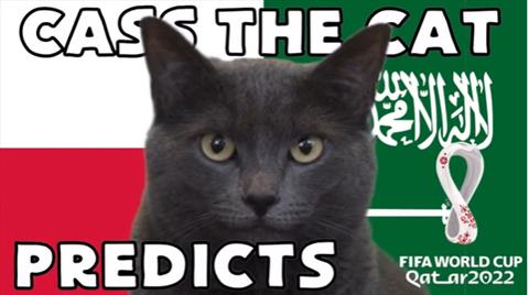 Mèo tiên tri dự đoán sẽ có bất ngờ ở trận Ba Lan vs Ả Rập Xê Út