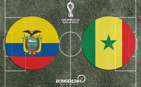 Đội hình chính thức Ecuador vs Senegal 22h00 ngày 29/11 (World Cup 2022)