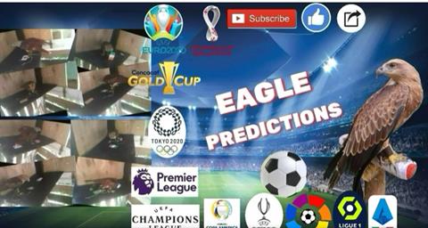 Đại bàng tiên tri dự đoán kết quả trận Nhật Bản vs Tây Ban Nha