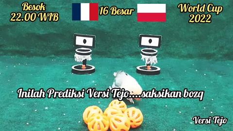 Vẹt Arjuna dự đoán có bất ngờ ở trận Pháp vs Ba Lan?