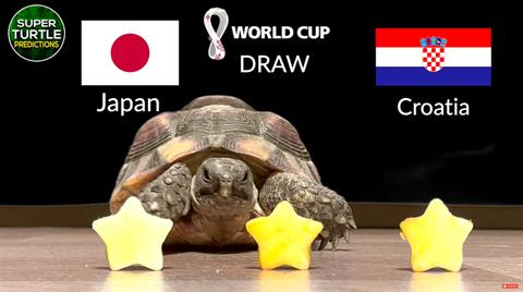 Rùa tiên tri dự đoán thế nào về trận Croatia vs Nhật Bản?