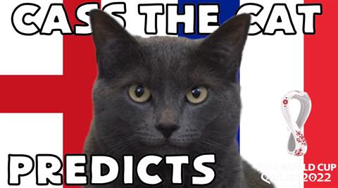 Mèo tiên tri dự đoán thế nào về cặp đấu Anh vs Pháp?