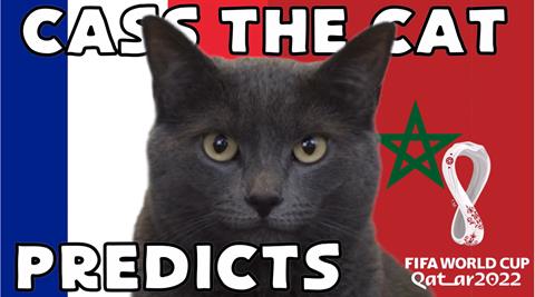Mèo tiên tri dự đoán cú sốc sẽ đến ở trận Pháp vs Morocco
